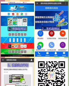 专业网站推广与微信网店制作服务，兼提供技术咨询